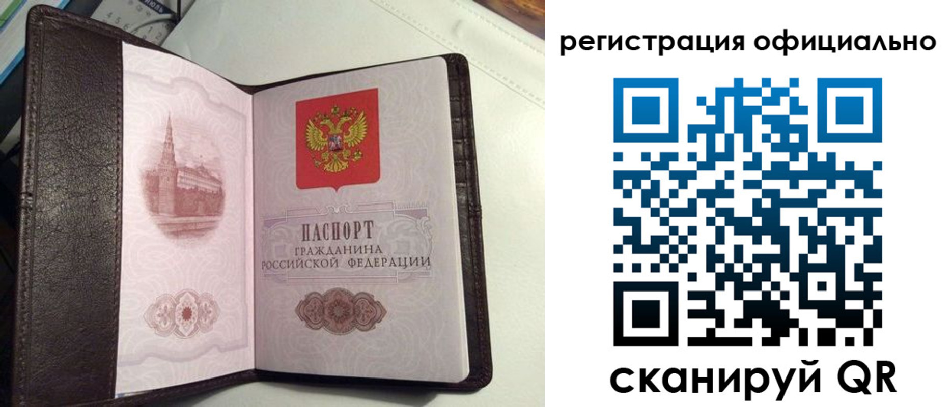 прописка ребенка в Александрове