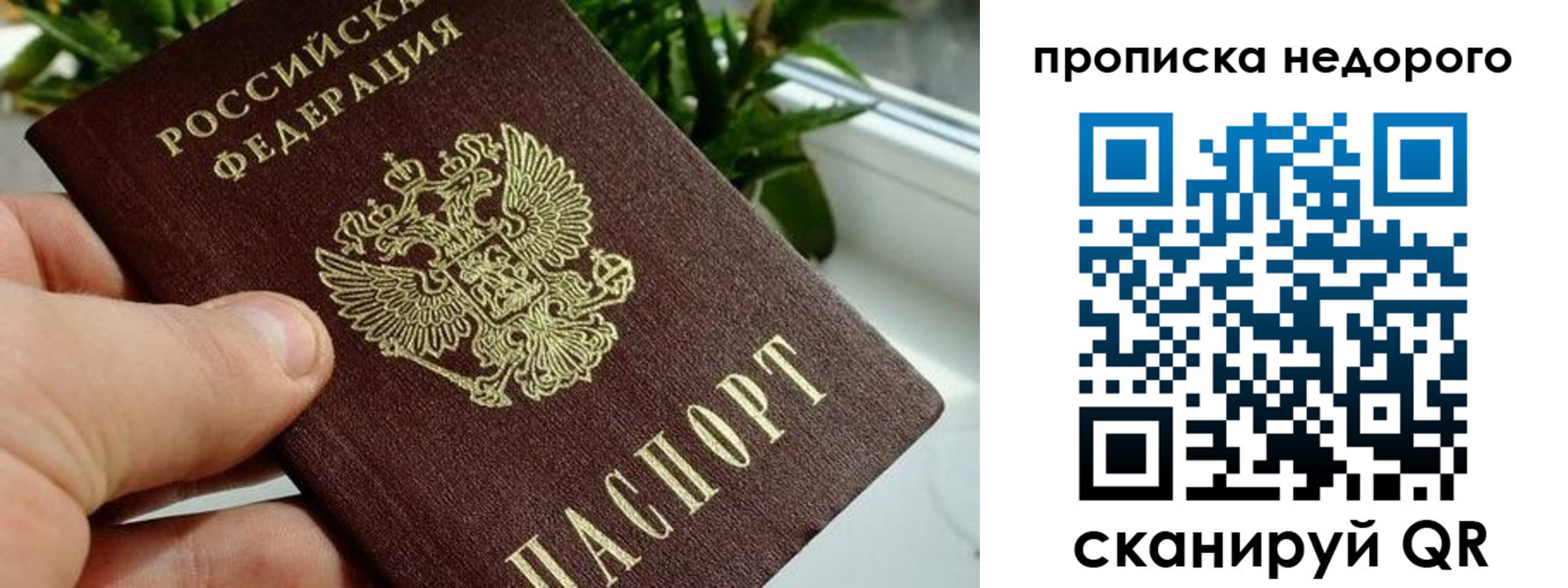 прописка для кредита в Александрове