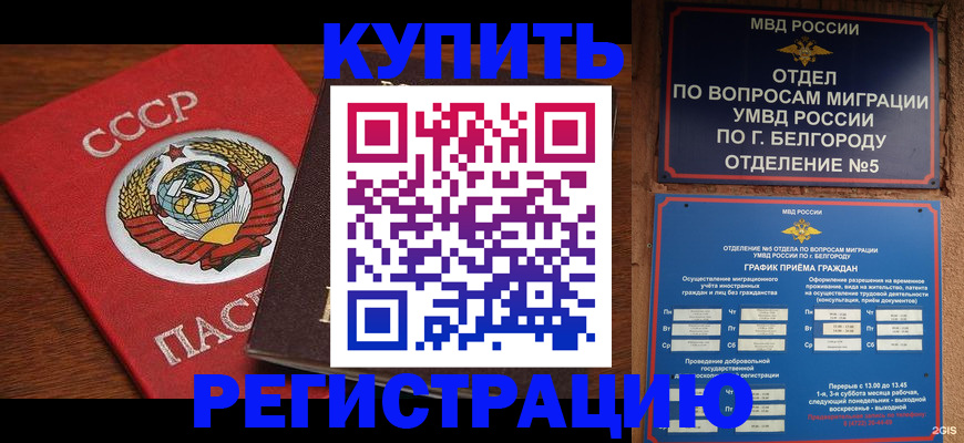 прописка для работы в Александрове
